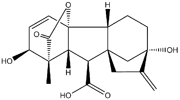 赤霉素GIBBERELLIC ACID，居然有這么神奇？